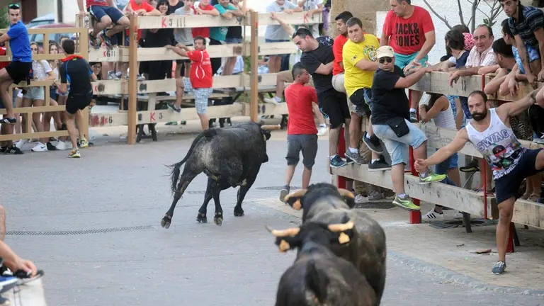 Vaquillas en la localidad de Obanos durante las fiestas del año 2016. MIGUEL OSÉS (1)