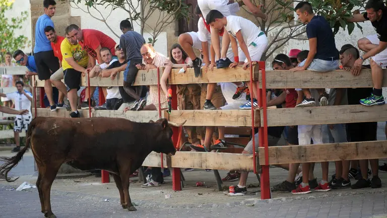 Vaquillas en la localidad de Obanos durante las fiestas del año 2016. MIGUEL OSÉS (2)