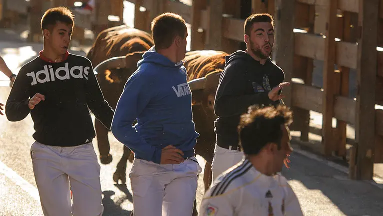 Tercer encierro de las fiestas de Peralta 2017 con la ganadería de Alcurrucén. MIGUEL OSÉS_2