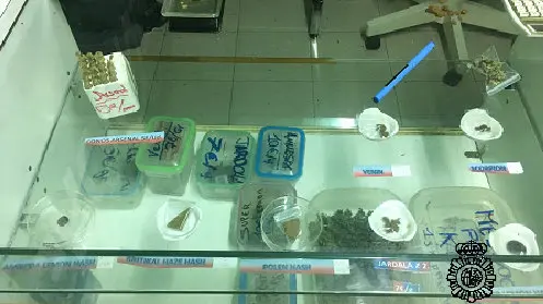 La Policía Nacional ha clausurado un centro canábico en la Avenida Zaragoza de Pamplona CEDIDA