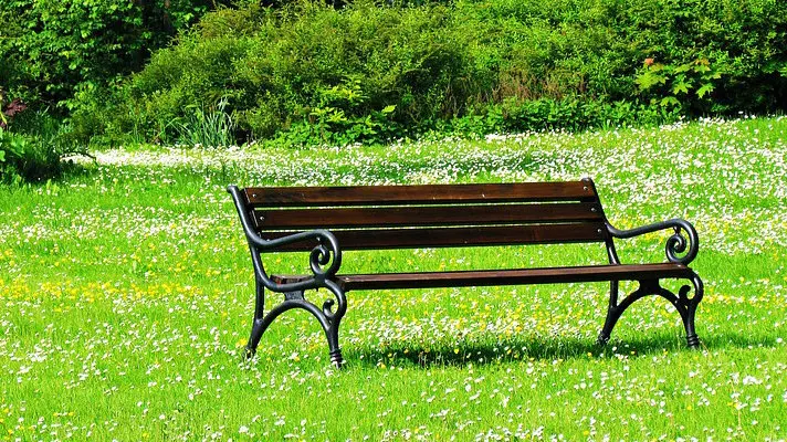 Un banco en un parque.