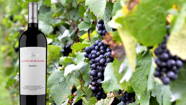 Albret la Viña de mi Madre, el reserva que ha sido premiado