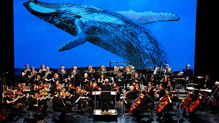 Asociación Sinfonietta Académica, una de las subvencionadas