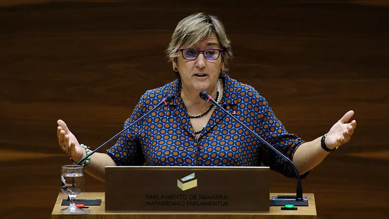 Marisa de Sim&oacute;n en el Parlamento de Navarra. MIGUEL OS&Eacute;S (1)
