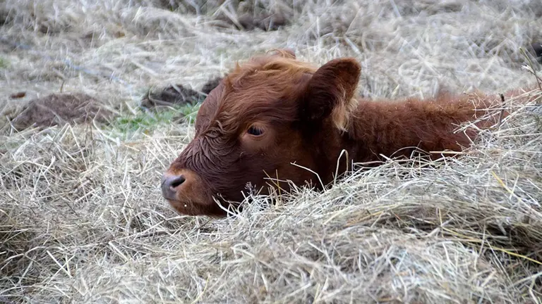GRa209. PAMPLONA, 15/09/2017.- El rector de la Universidad de Navarra, Alfonso Sánchez-Tabernero (i), durante su intervención en el acto de apertura del curso academico 2017-2018 que ha tenido lugar hoy en el aula magna de dicho centro universitario. EFE/Jesús Diges