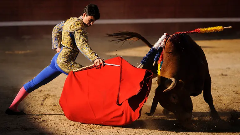 Novillada de Alcurrucén en Sangüesa con El Dani y Toñete. MIGUEL OSÉS_15