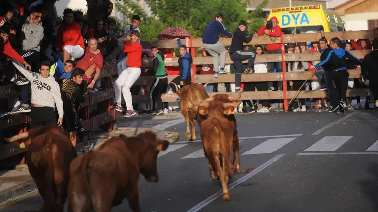 Festejo taurino en las fiestas de Zizur Mayor de 2016 MIGUEL OSÉS