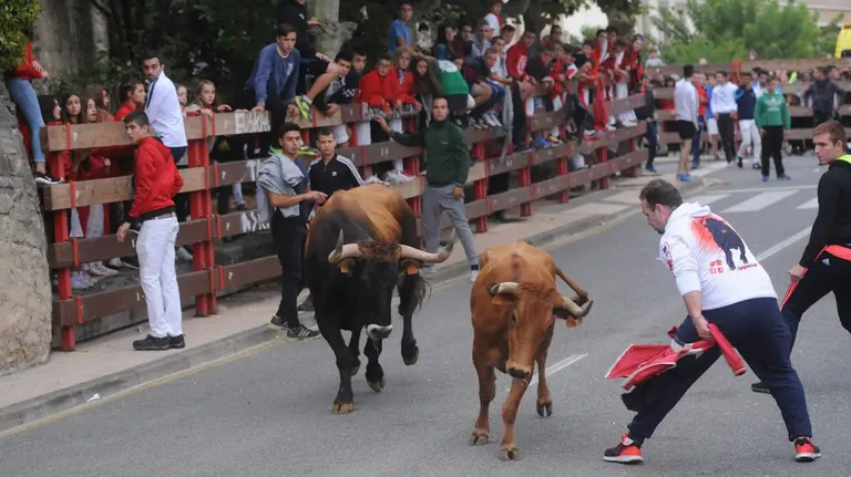 Festejo taurino en las fiestas de Zizur Mayor de 2016 MIGUEL OSÉS 2