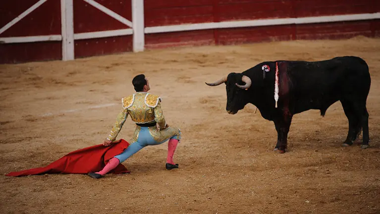 Última corrida de la Feria de Sangüesa 2017. MIGUEL OSÉS_21