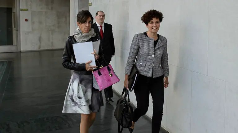 La presidenta de la Cámara de Comptos comparece en el Parlamento de Navarra. PABLO LASAOSA 01