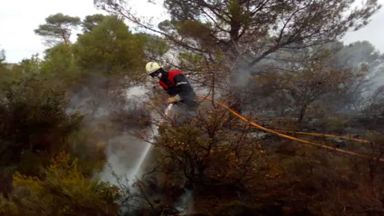 Un bombero lucha apaga el fuego del incendio originado en Sesma 2