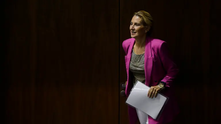 Ana Beltrán del PPN accede al pleno del Parlamento. PABLO LASAOSA