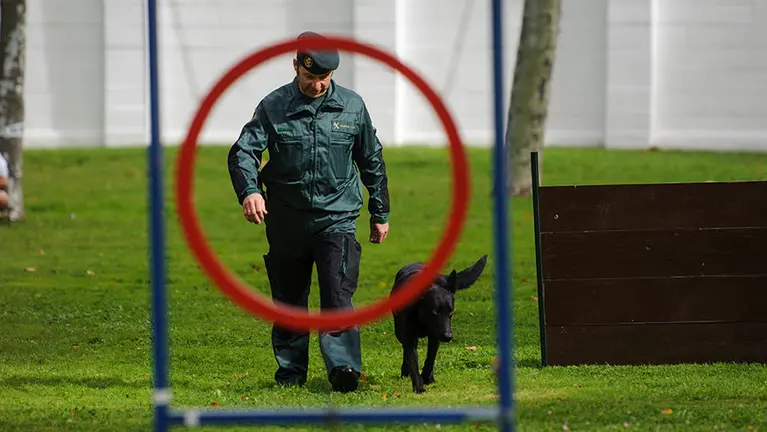 La Policía Nacional y la Guardia Civil celebran su jornada de puertas abiertas con motivo de las celebraciones patronales de ambos cuerpos. MIGUEL OSÉS_6