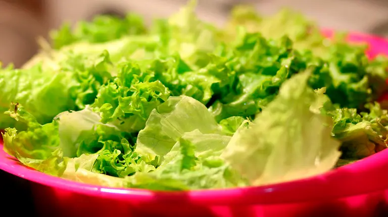 Una lechuga servida en el plato
