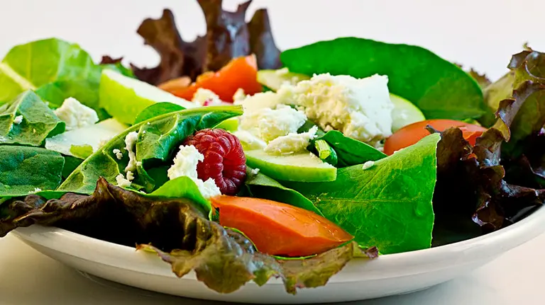 Una ensalada servida en un plato