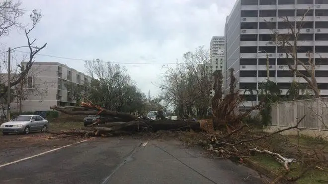 Daños causados por el huracán María EFE