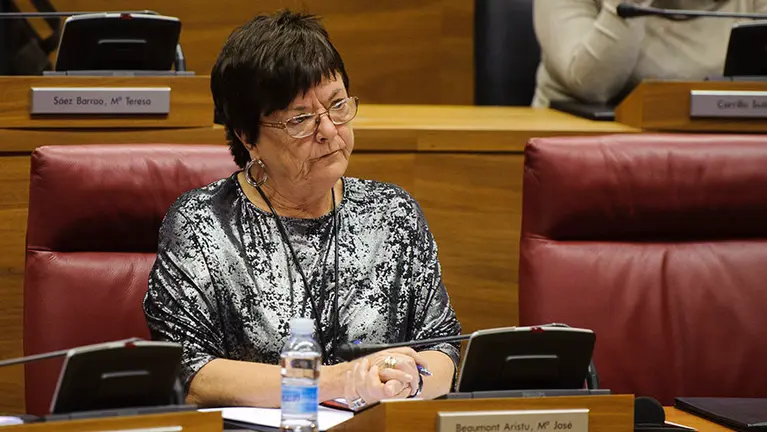 La consejera del interior Maria José Beaumont en el pleno parlamentario de este jueves. MIGUEL OSÉS (6)