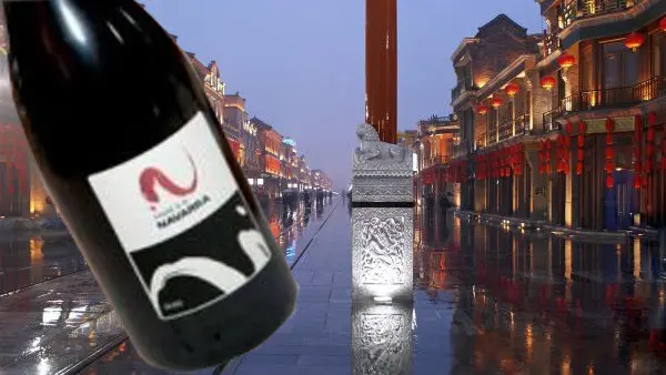 Vinos navarros en China