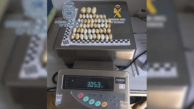 Las bellotas de cocaína incautadas que la brasileña portaba en su cuerpo