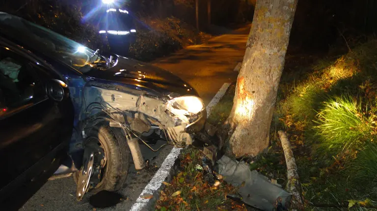 Estado en el que ha quedado el coche implicado en el camino de Burlada. POLICÍA MUNICIPAL