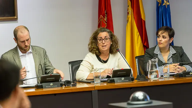 Representantes de la Plataforma Vecinal Pío XII explican en el Parlamento la problemática surgida con el reordenamiento de tráfico (18). IÑIGO ALZUGARAY