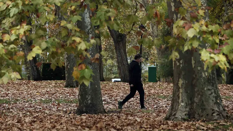 Una persona pasea por un parque de Pamplona, en una jornada donde las temperaturas ha sido altas para el tiempo otoñal actual. EFE/Jesús Diges