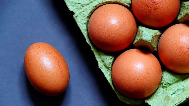 Un envase de huevos