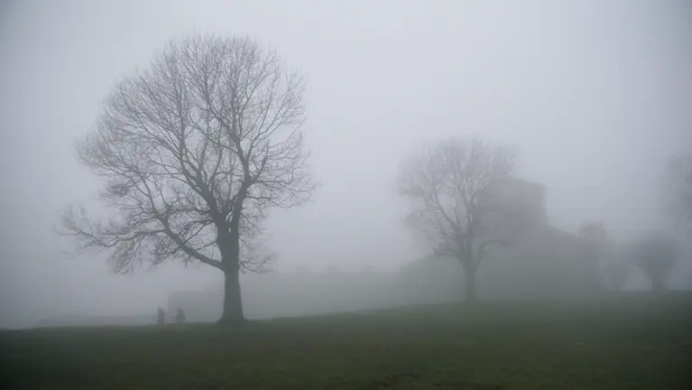 El tiempo en Navarra San Miguel de Aralar. MIGUEL OSÉS