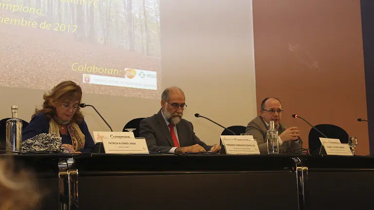 XIII Jornada Formativa de la Sociedad Navarra de Medicina de Familia