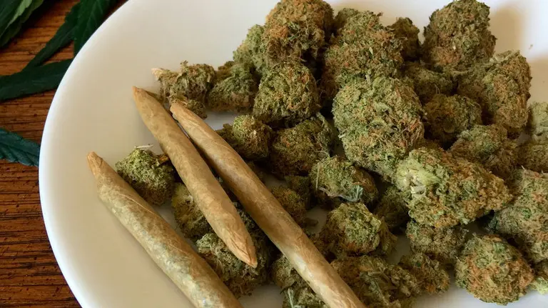 Imagen de un plato con hachís. ARCHIVO