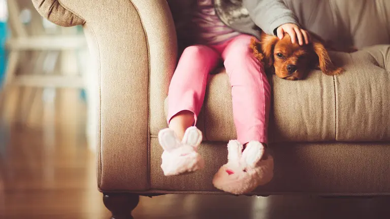 Imagen de una niña acariciando a un perro ARCHIVO