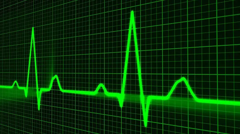 Latidos del corazón