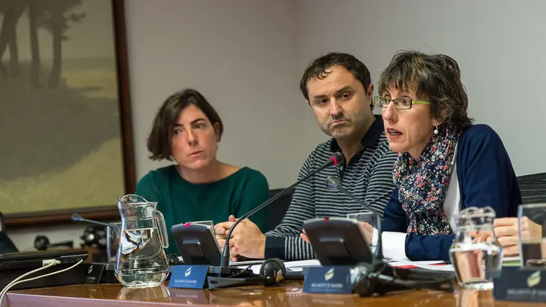 Una representación de la plantilla de ANAFE-CITE explica en sede parlamentaria su situación ante el inminente cierre de la entidad (06). IÑIGO ALZUGARAY