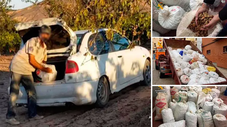 Imágenes de la operación realizada por la Guardia Civil.