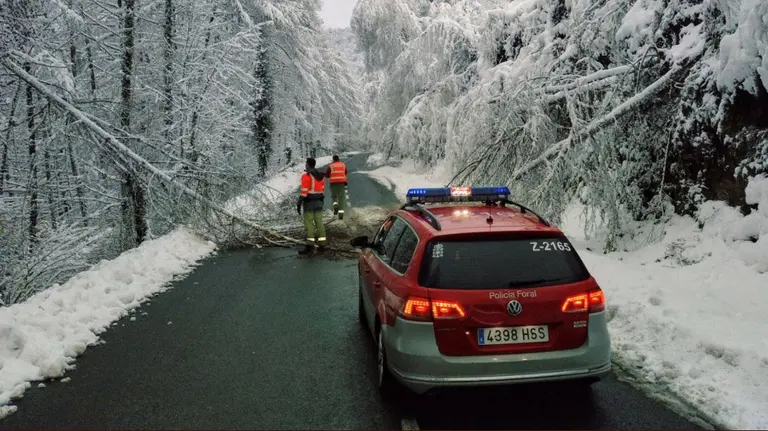 Policías forales retiranan ramas de la NA-1700. entre Leitza y Uitzi POLICÍA FORAL