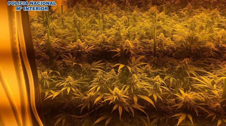 Imagen de uno de los dos laboratorios encontrados en una vivienda familiar POLICIA NACIONAL