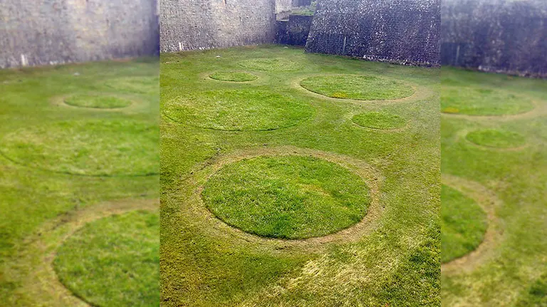 Aspecto de los jardínes efímneros en la Ciudadela de Pamplona