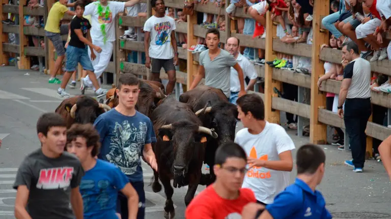 Suelta de vaquillas en Burlada. MIGUEL OSÉS