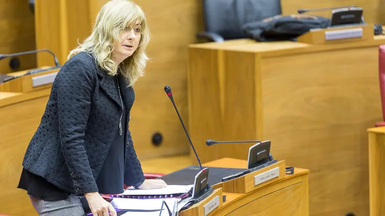 Pleno parlamentario de control al Gobierno de Navarra (52). IÑIGO ALZUGARAY