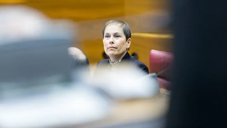 Pleno parlamentario de control al Gobierno de Navarra (79). IÑIGO ALZUGARAY