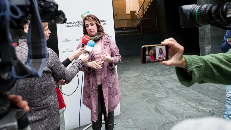 Pleno parlamentario de control al Gobierno de Navarra (96). IÑIGO ALZUGARAY