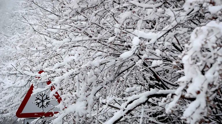 GRAF1779. RONCESVALLES (NAVARRA), 14/01/2018.- Una señal de tráfico avisa del peligro de circular con nieeve en la carretera N-135 desde RValcarlos a Pamplona. La nieve caída en las últimas horas en la comunidad Foral hace necesario el uso de cadenas para circular por cuatro carreteras de la red secundaria de Navarra, sin que por el momento se registren incidencias en la red principal. EFE/Villar López