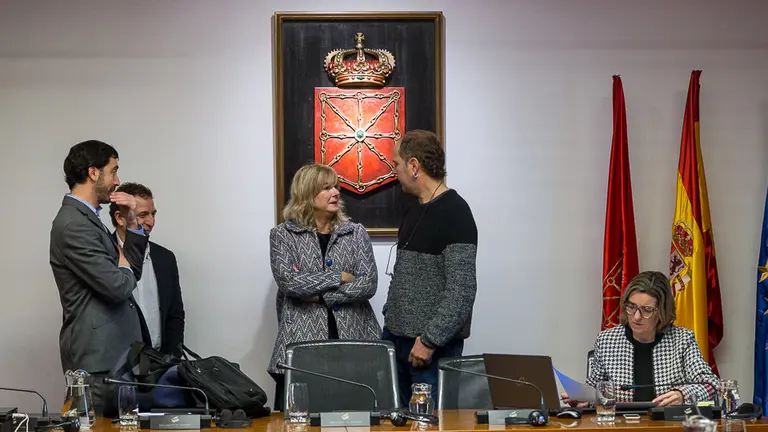 Comparecencia de la consejera Ana Ollo en la Comisión de Relaciones Ciudadanas e Institucionales (05). IÑIGO ALZUGARAY