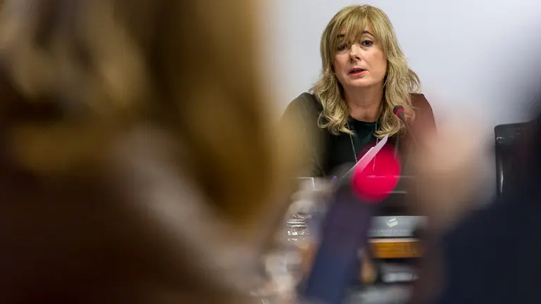 Comparecencia de la consejera Ana Ollo en la Comisión de Relaciones Ciudadanas e Institucionales (07). IÑIGO ALZUGARAY