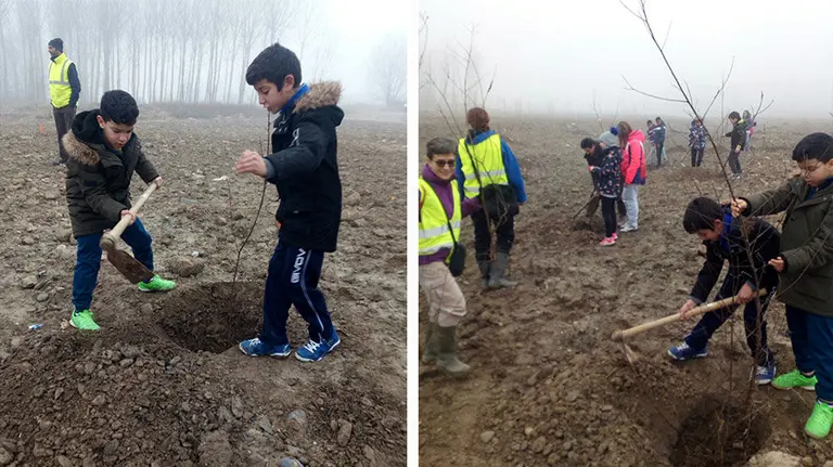 Los niños del colegio de Funes plantan Sauces