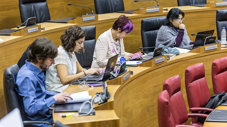 Sesión de control al Gobierno en el Parlamento de Navarra (54). IÑIGO ALZUGARAY