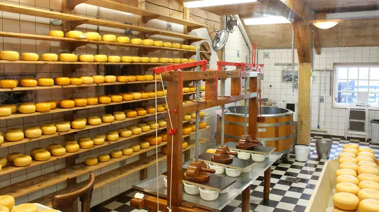 Una quesería tradicional. ARCHIVO