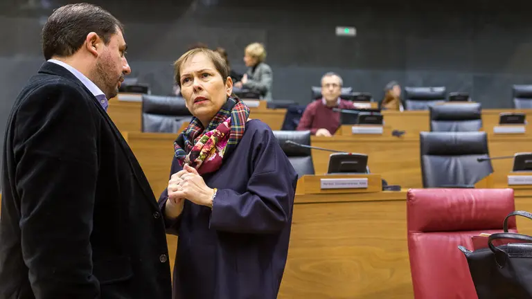 Pleno del Parlamento de Navarra (05). IÑIGO ALZUGARAY