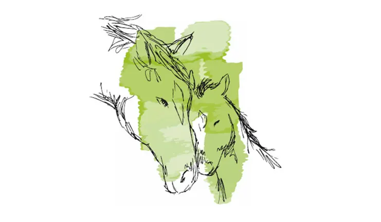 Ferias Febrero Tafalla 2018