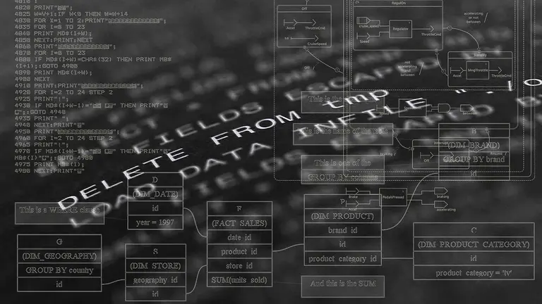 Programación de ordenadores con distintos lenguajes.